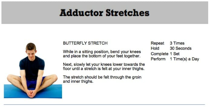 oakville chiropractor adductor stretch