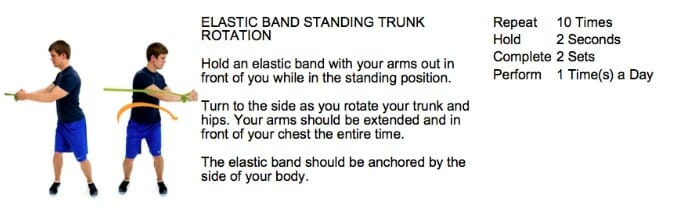 oakville chiropractor chop core exercise