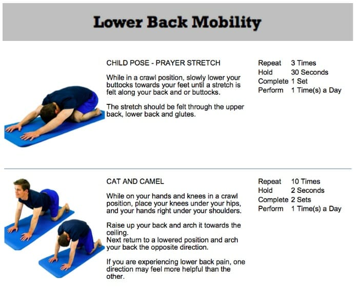 oakville chiropractor lower back mobility exercises