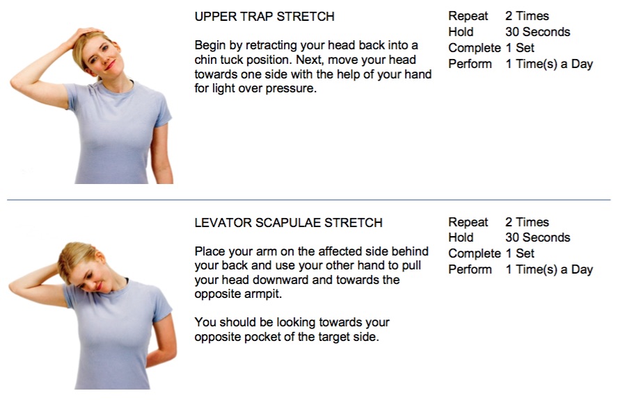 oakville chiropractor neck stretches