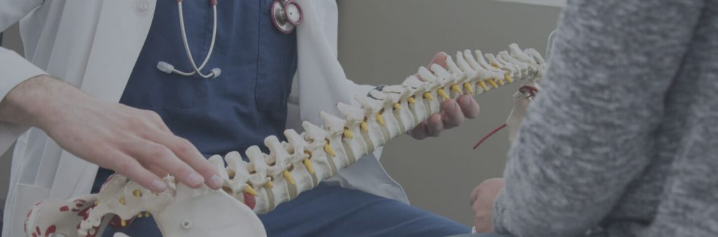 Oakville chiropractor holding a spine and explaining to a patient what is going on with their back pain