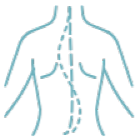 Chiropractic Services Icon